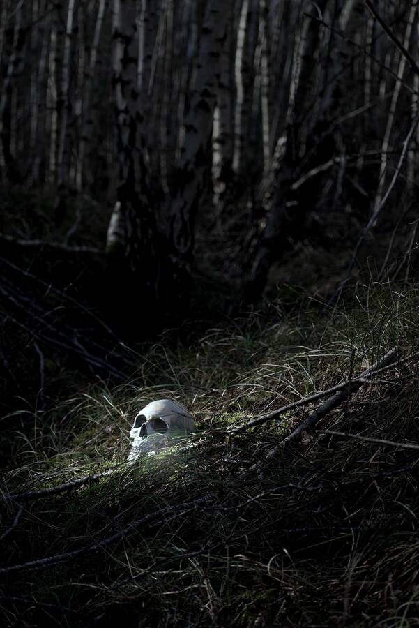 photographer JMKERR uncategorized  photo