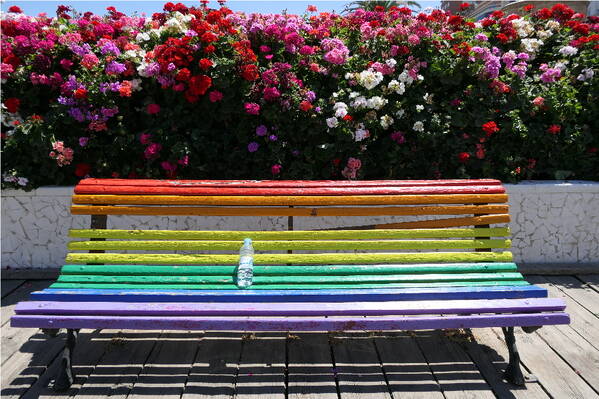 photographer Bitten by the Bug travel  photo