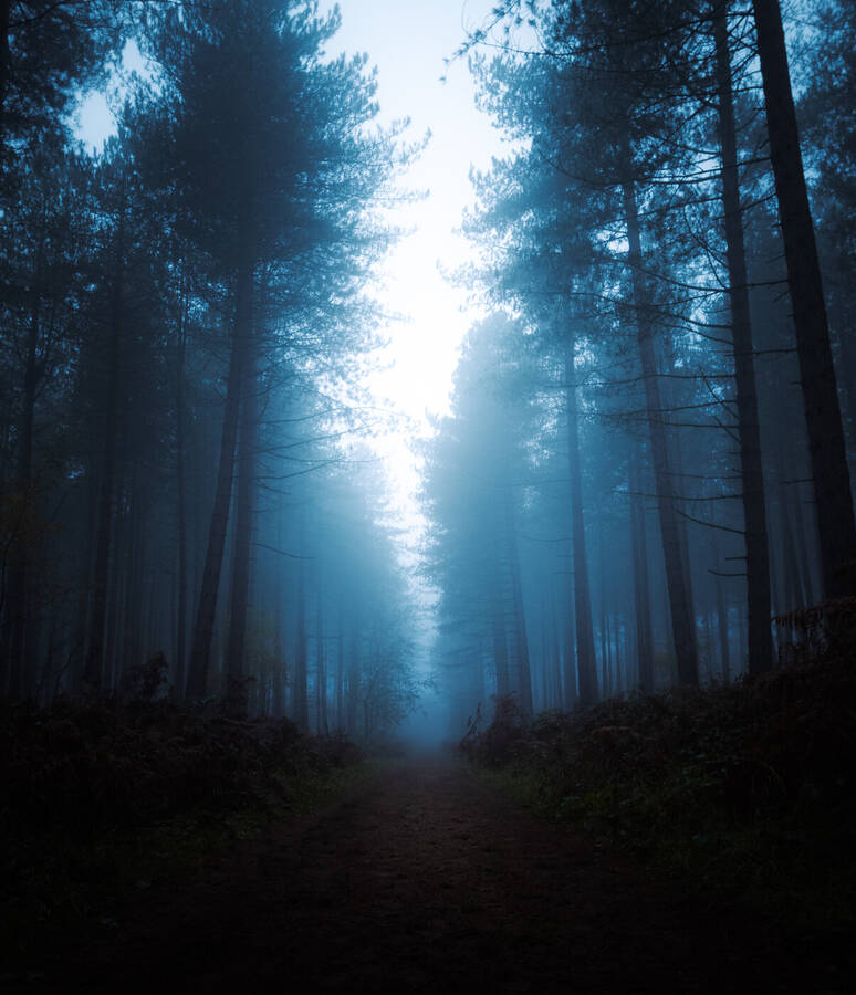 photographer Wilsonfotografie landscape  photo