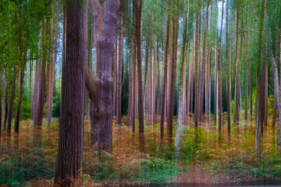 photographer BrianP abstract  photo