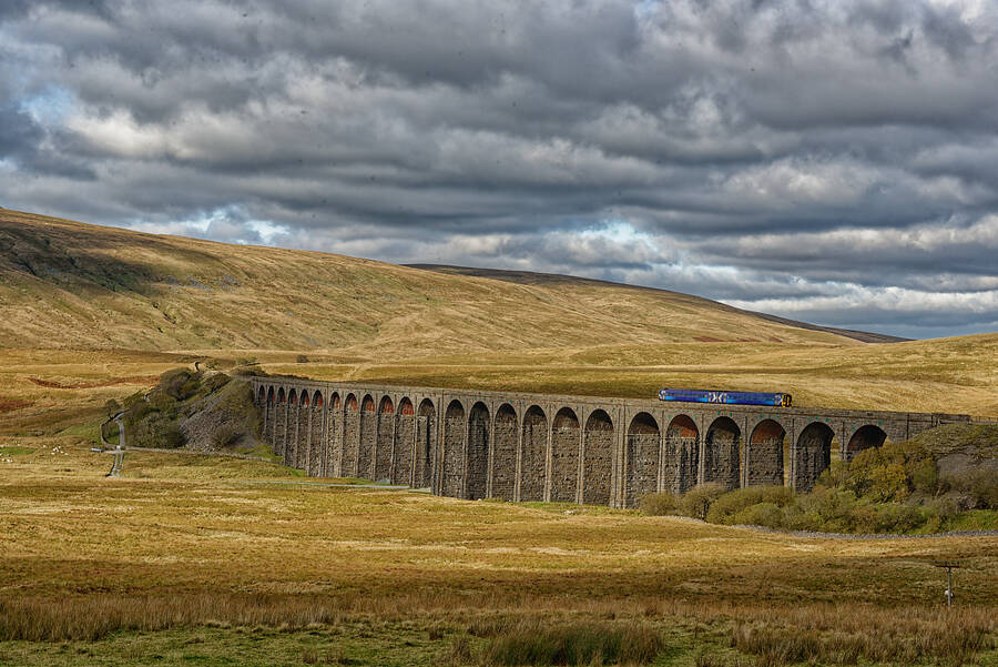 photographer Seano uncategorized  photo