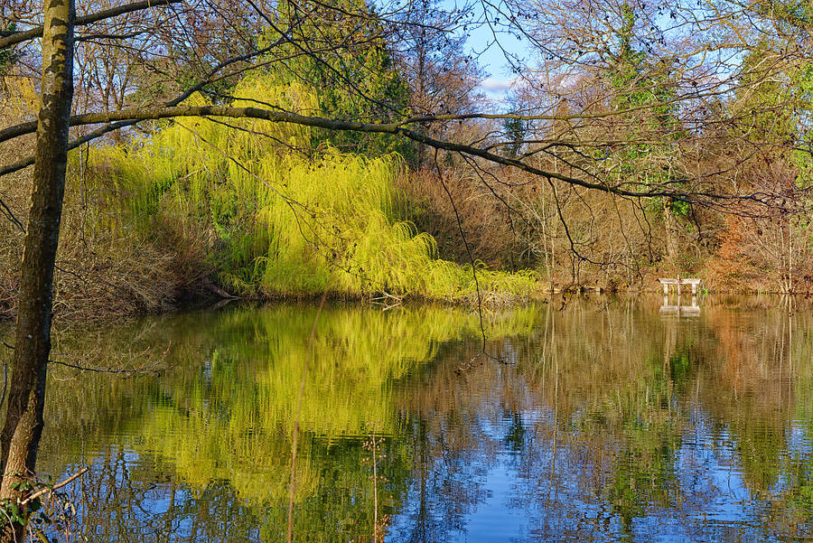 photographer Seano uncategorized  photo