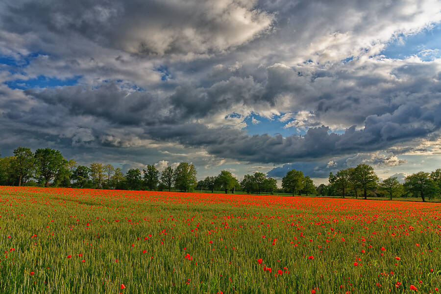 photographer Seano uncategorized  photo