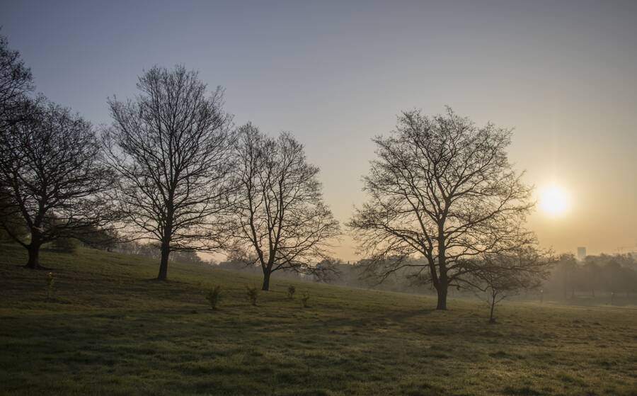 photographer Sean OBrien landscape  photo