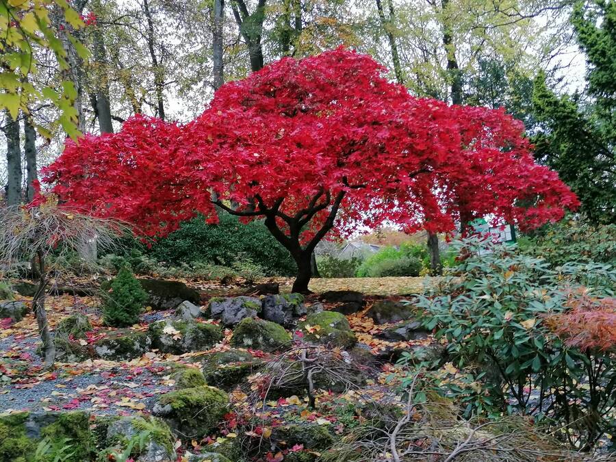 photographer S3b uncategorized  photo