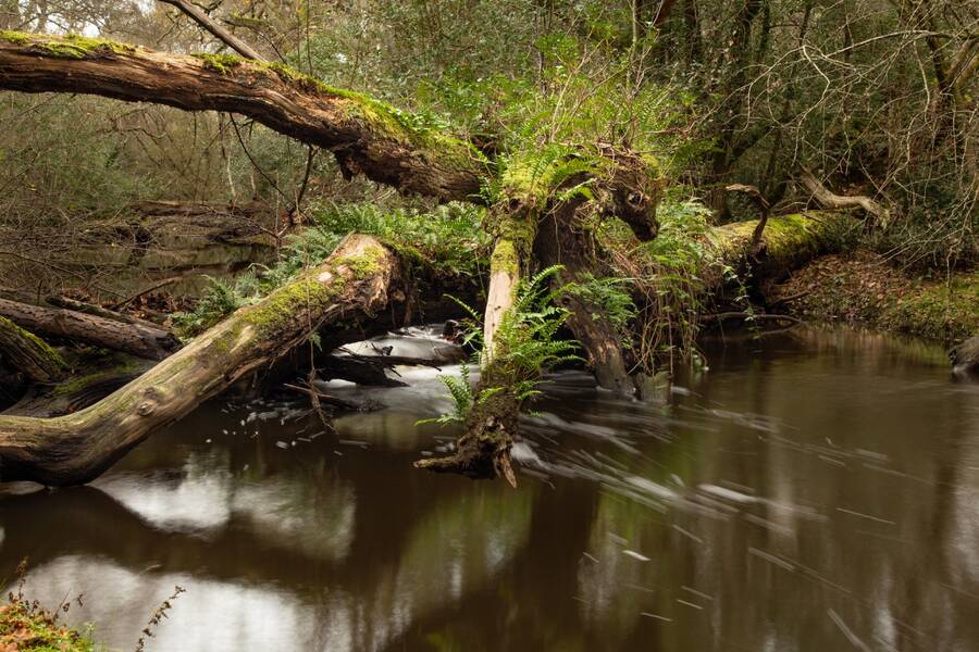 photographer Mark landscape  photo