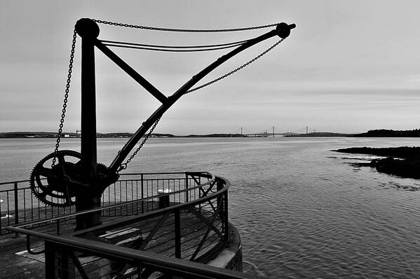 photographer Bitten by the Bug uncategorized  photo