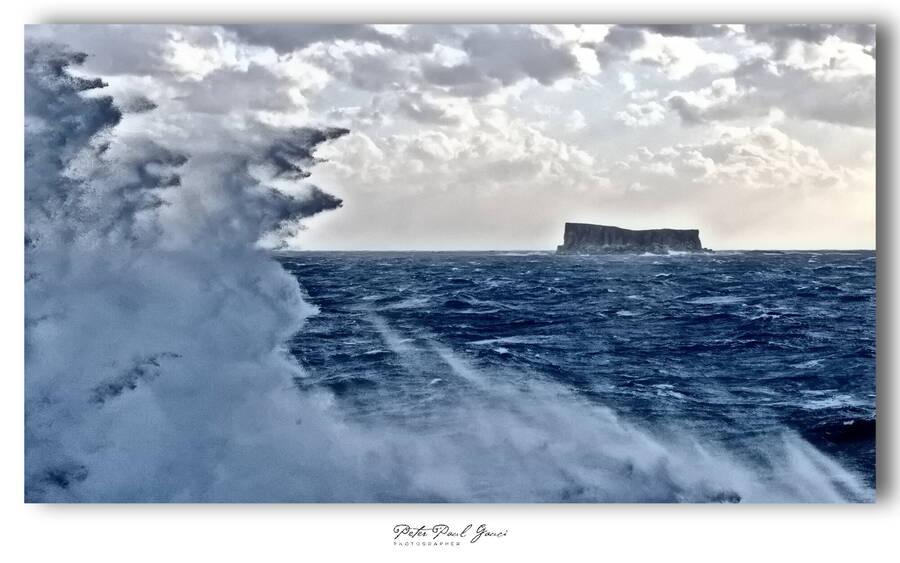 photographer Ginger uncategorized  photo