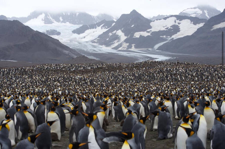photographer Fitzroy landscape  photo taken at Sandwich island