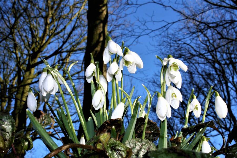 photographer Icu images landscape  photo