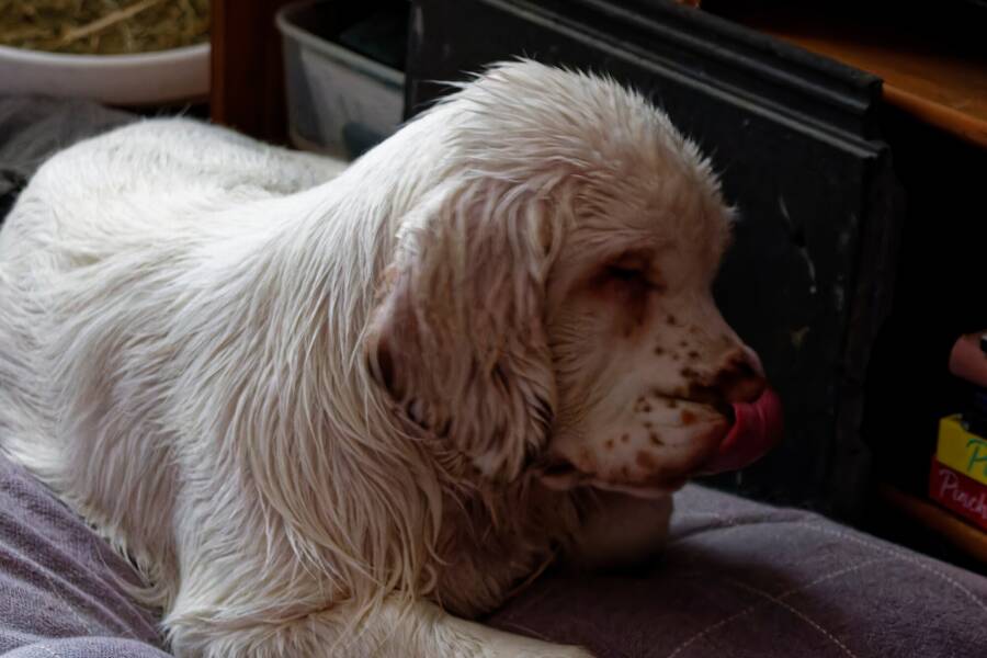 photographer dntphotographs uncategorized  photo