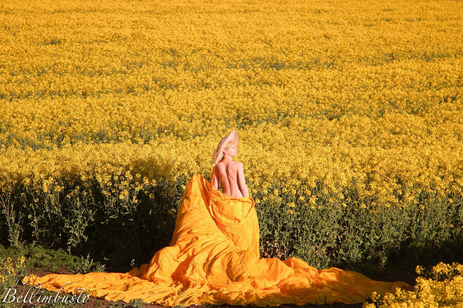 photographer Bellimbusto fine art  photo taken at Wendover