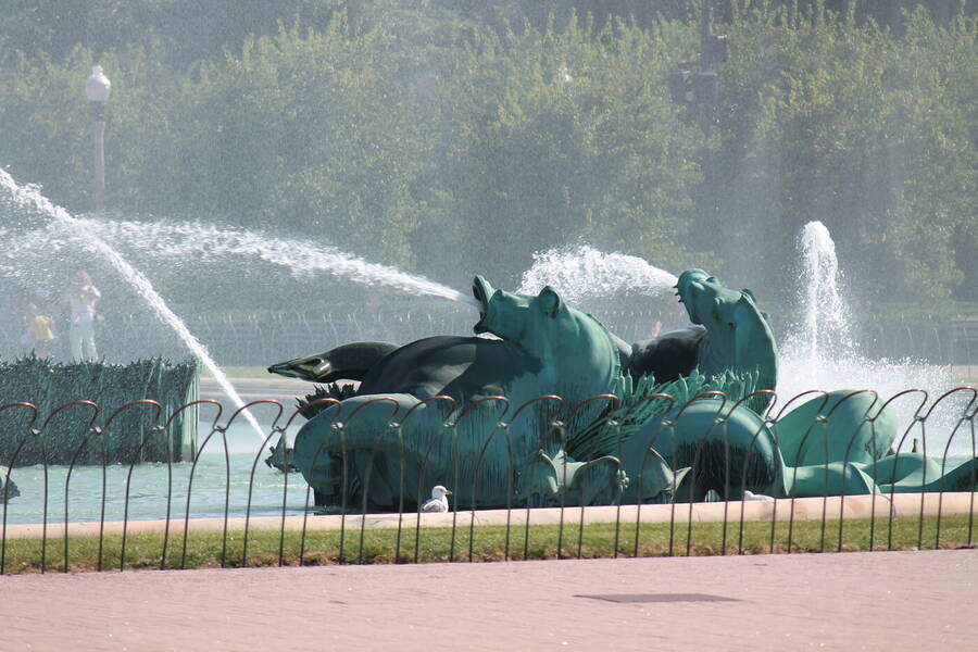 photographer Chicago Shutter fine art  photo taken at Grant Park, Chicago