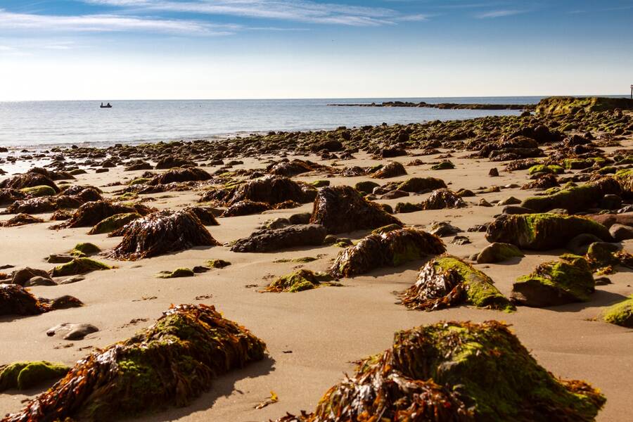 photographer Mark landscape  photo