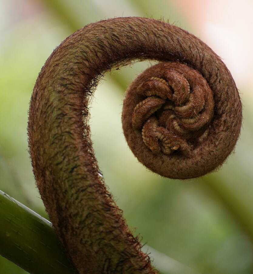 photographer BFTP landscape modelling photo