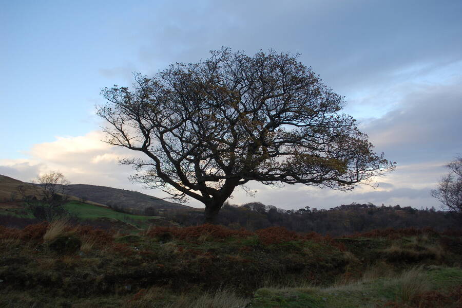 photographer Abstract Photo landscape  photo