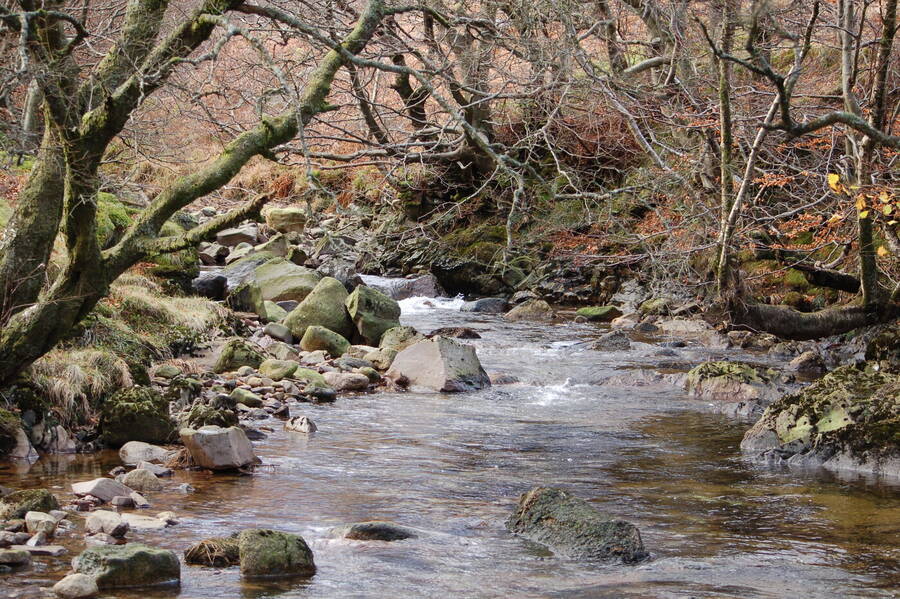 photographer Abstract Photo landscape  photo