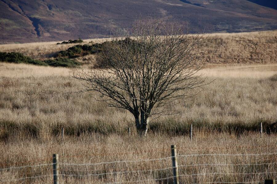 photographer Abstract Photo landscape  photo