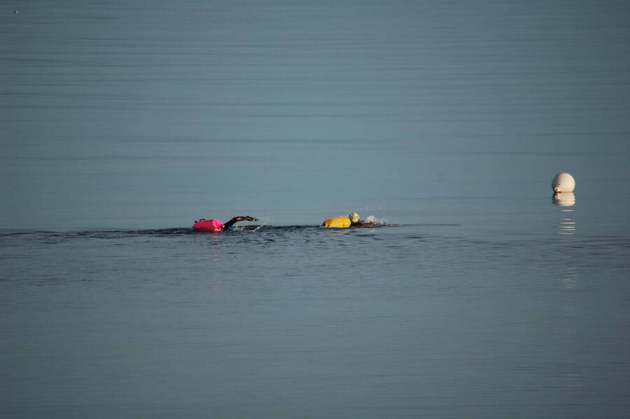 photographer Abstract Photo wild swimming ?&zwj;??   photo