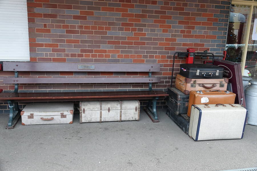 photographer cheesy grin uncategorized  photo