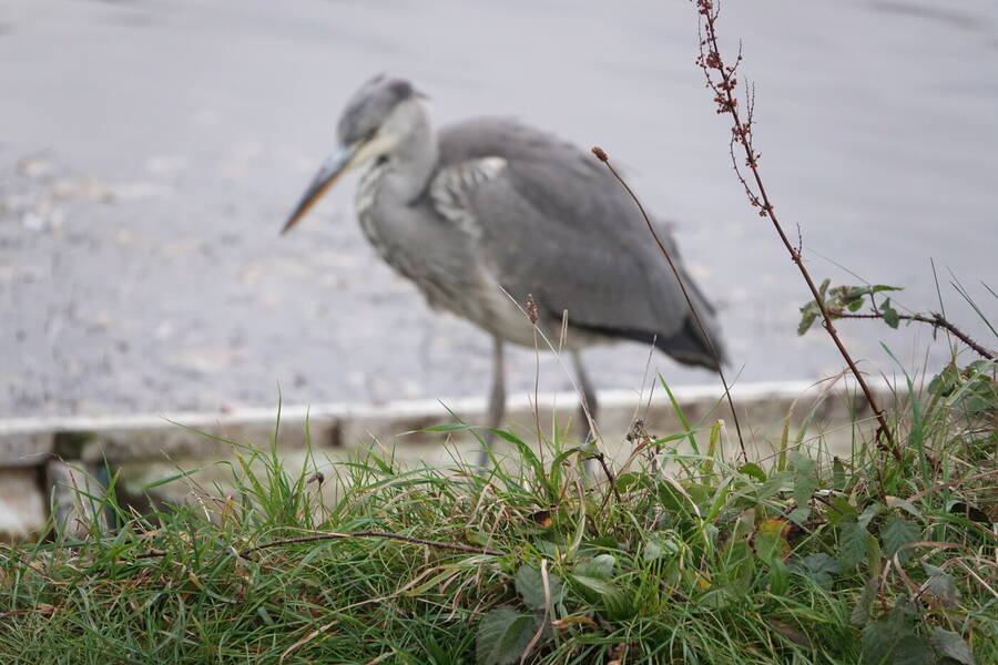 photographer cheesy grin uncategorized  photo