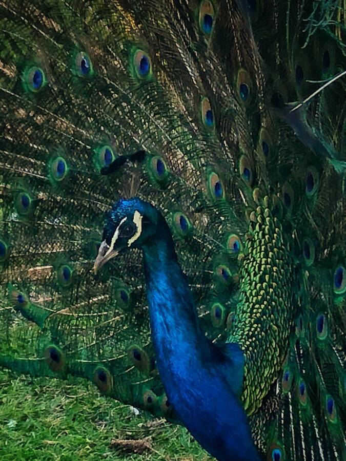 photographer Obaphotography uncategorized  photo