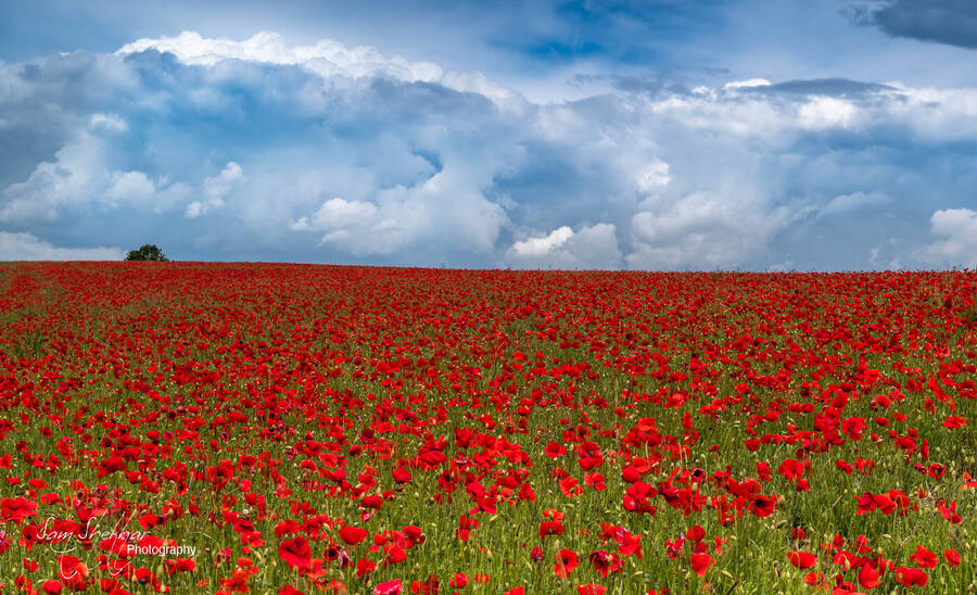 photographer samster landscape  photo