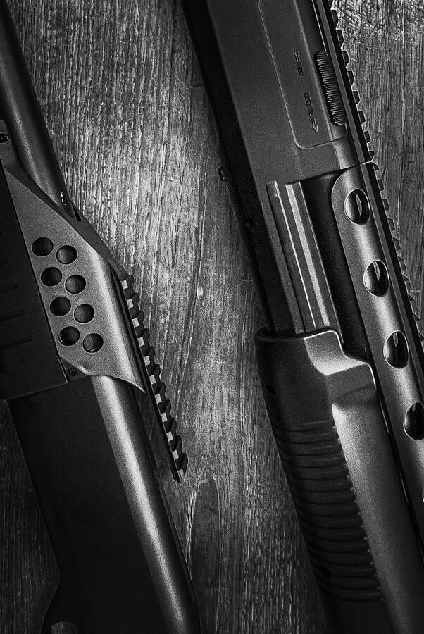 photographer Photographer Gino Cinganelli uncategorized  photo