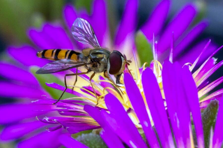 photographer The Opportunist uncategorized modelling photo