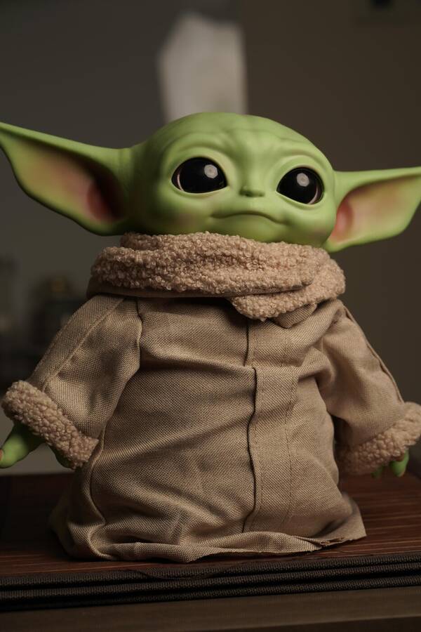 photographer BFTP uncategorized  photo