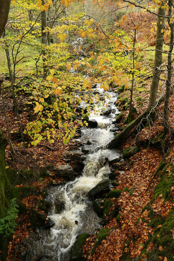 photographer WPNPHOTOIMAGES landscape  photo taken at Lake Vyrnwy