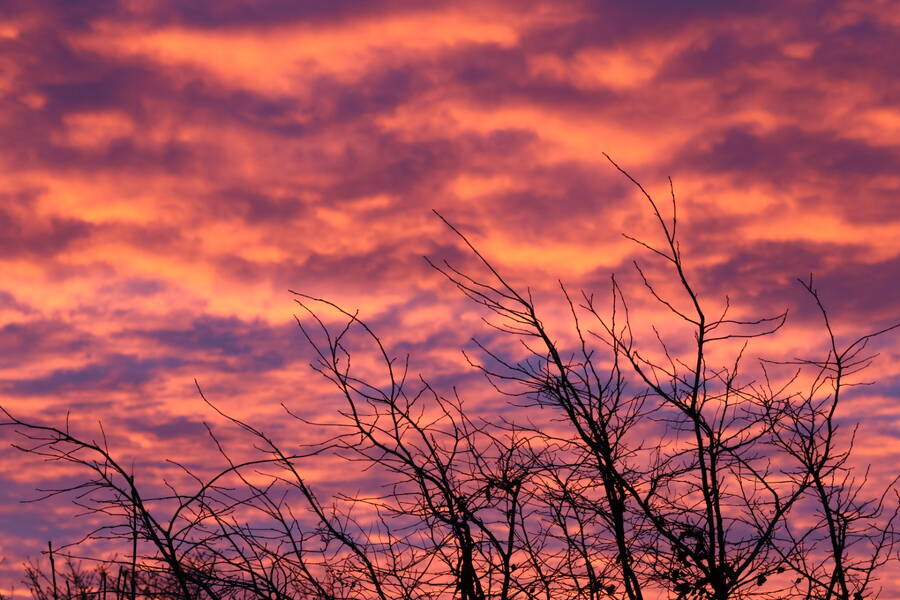 photographer Fotopicto landscape  photo