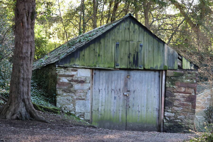 photographer Fotopicto uncategorized  photo