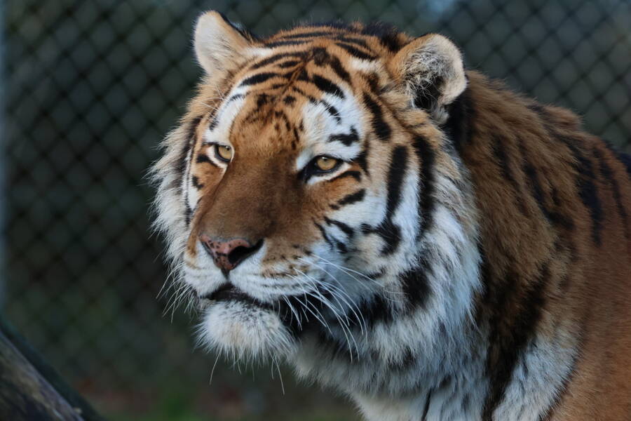 photographer Fotopicto uncategorized  photo