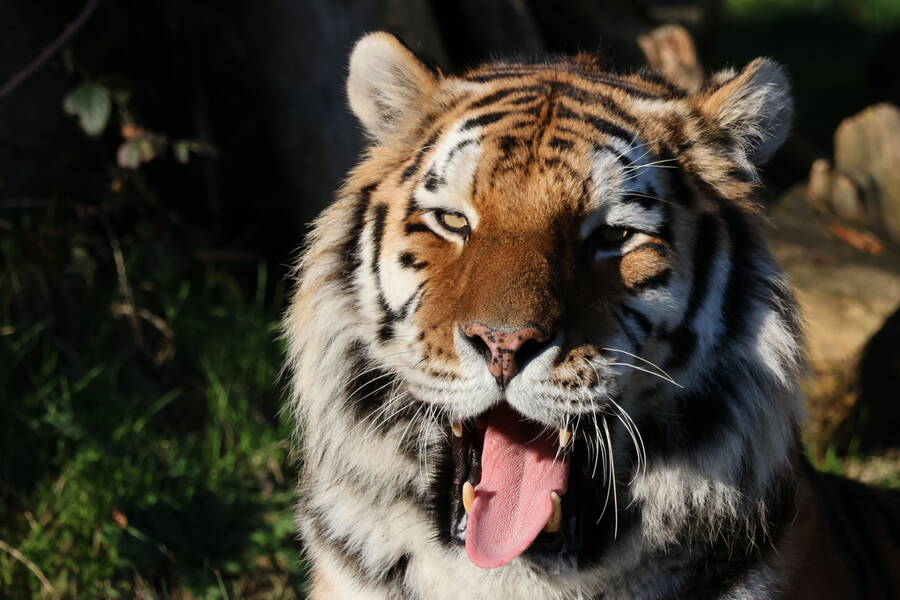 photographer Fotopicto uncategorized  photo