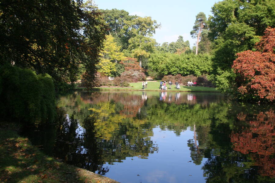 photographer Myddleton infrared  photo taken at Exbury Gardens