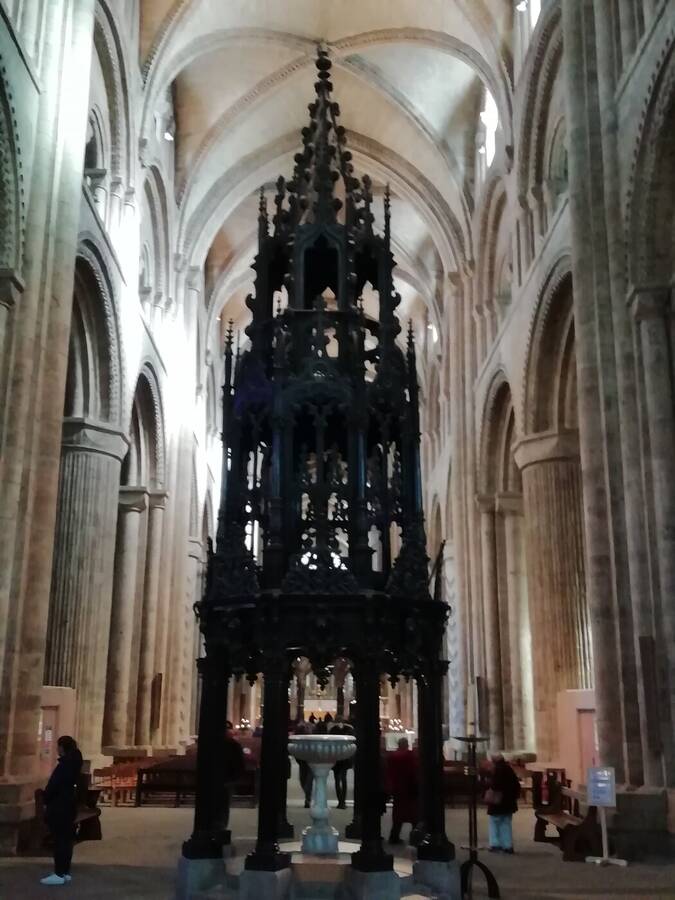 photographer Bob uncategorized  photo