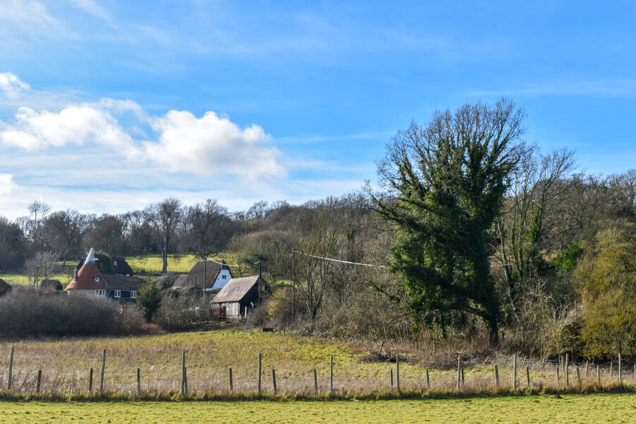 photographer Lola33 uncategorized  photo