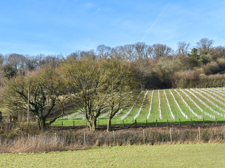 photographer Lola33 uncategorized  photo