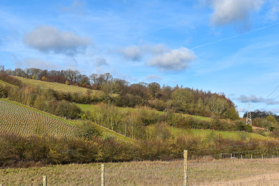 photographer Lola33 uncategorized  photo