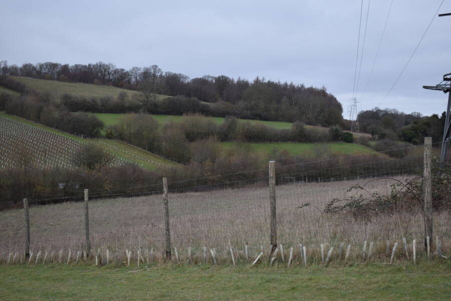 photographer Lola33 uncategorized  photo