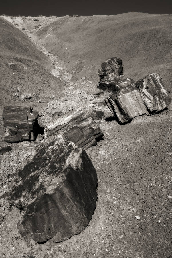 photographer Available Light Photography landscape  photo taken at Arizona, USA