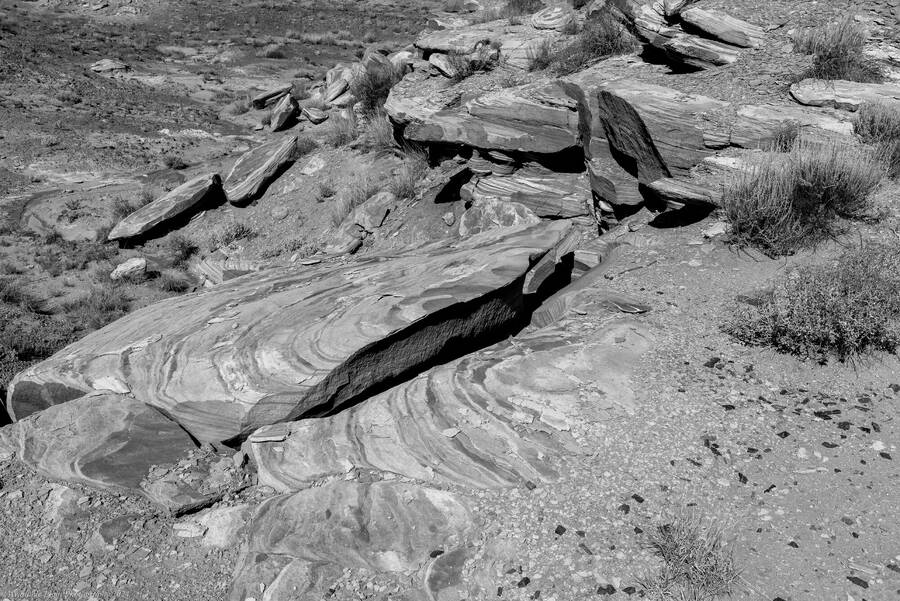 photographer Available Light Photography landscape  photo