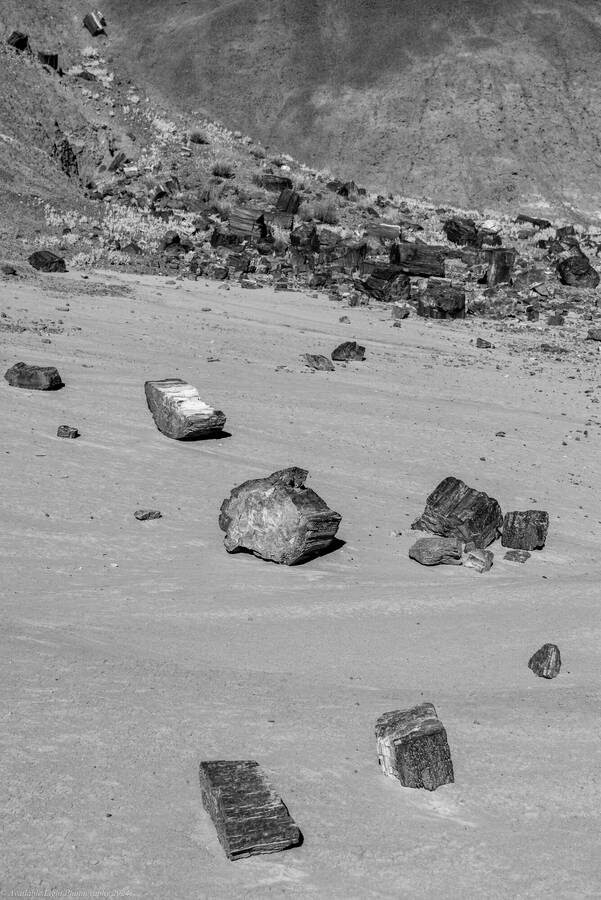 photographer Available Light Photography landscape  photo taken at Arizona, USA