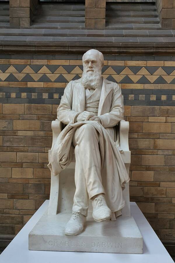 photographer clactontog uncategorized  photo