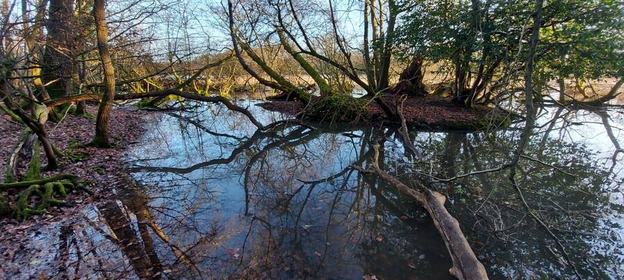 photographer Salt  Box Studios landscape  photo