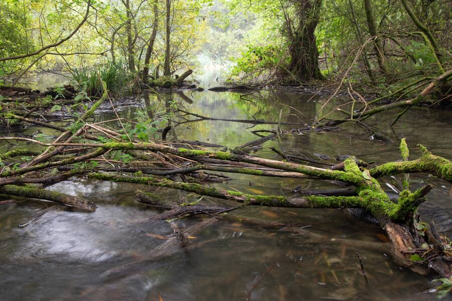 photographer Mark landscape  photo