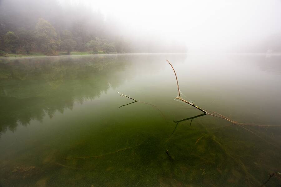 photographer Mark landscape  photo