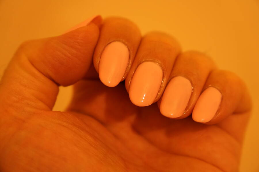 photographer  uncategorized  photo