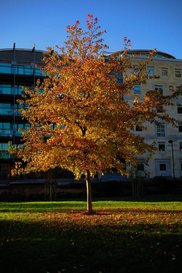 photographer Martin330 landscape  photo